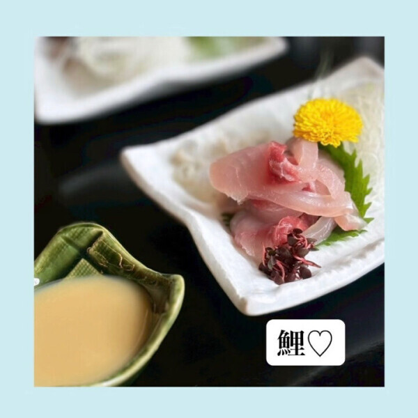 鯉♡