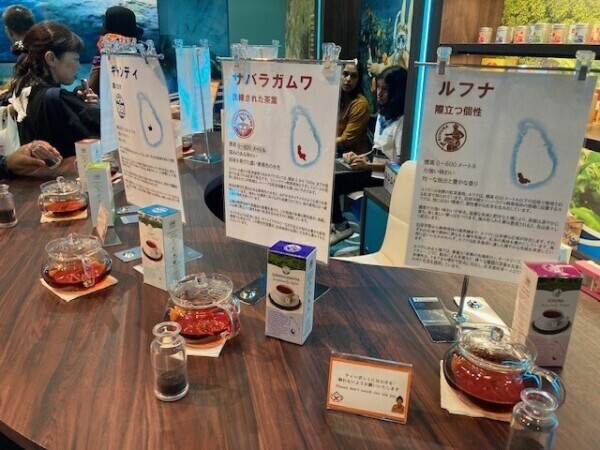 スリランカ☆