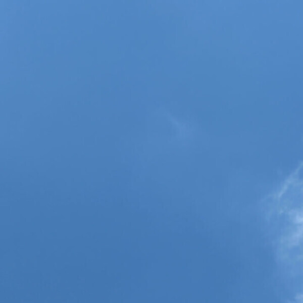 いよいよ本格始動。。。