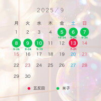 しらん