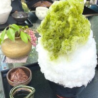 つきの