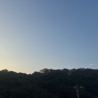 らん