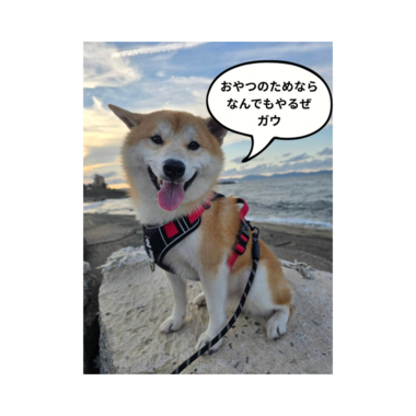 image1.png