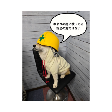 image2.png