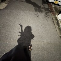 さり