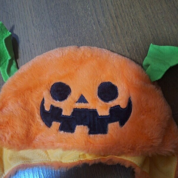 本日出勤します！