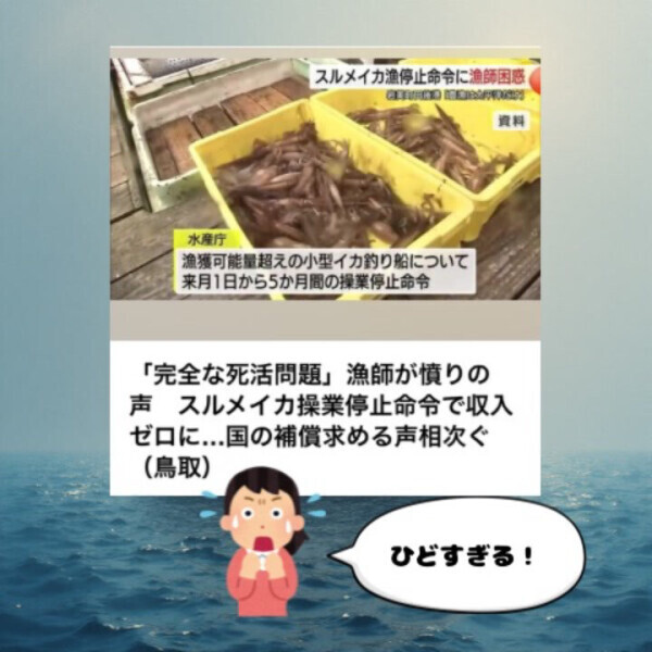 ボイルイカにマヨネーズつけて食べるのも好きです🦑