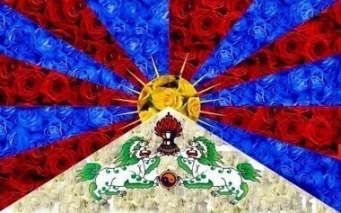 きさらぎ🐰から謝り💦