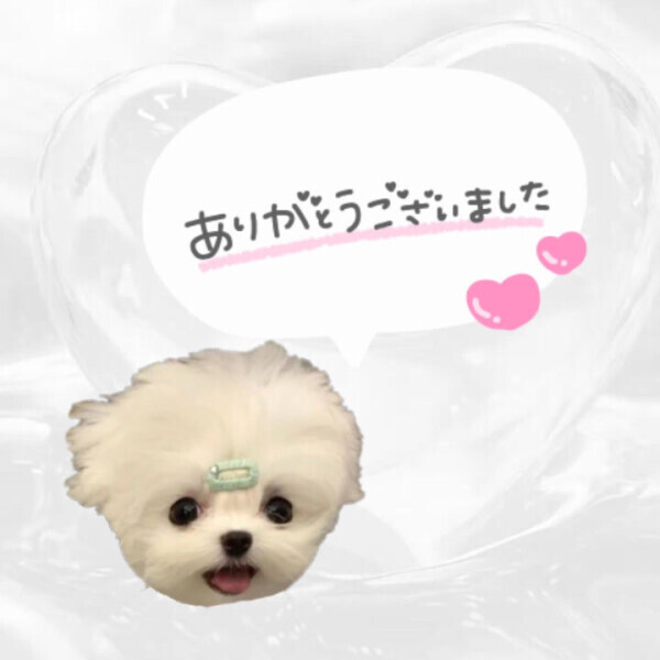 11/22ありがとうございました💌♡