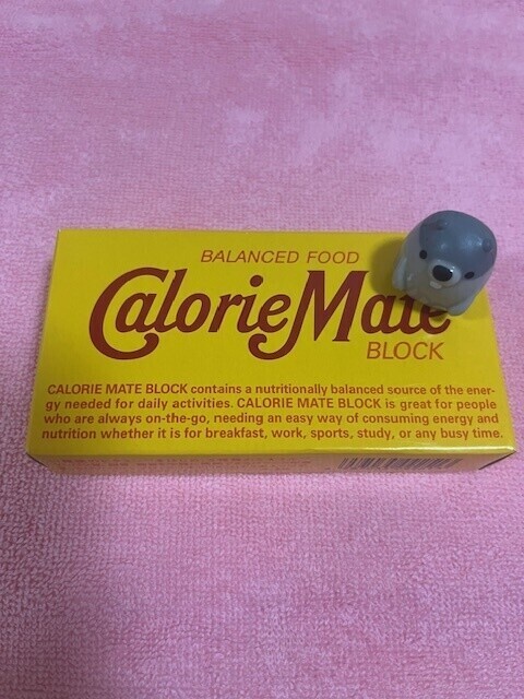 今日は皆んなにとって良い日かな？😘