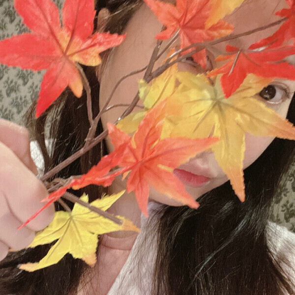 お部屋のもみじは枯れないよ✌️