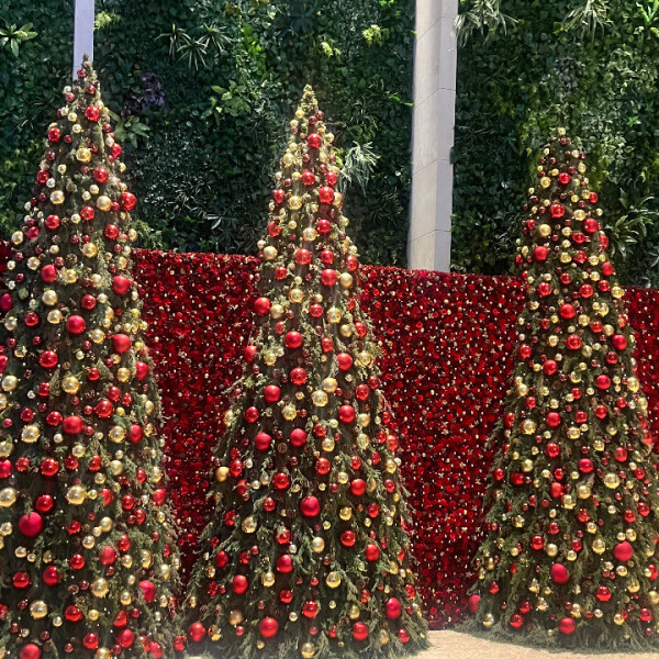 明日について🫧