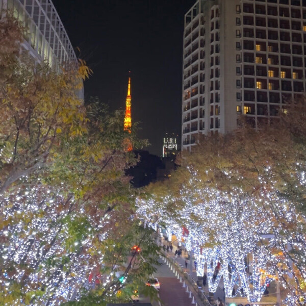 もう冬だよ〜🗼❄︎⟡.·