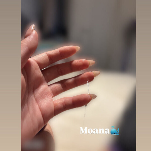 なんと明日...！