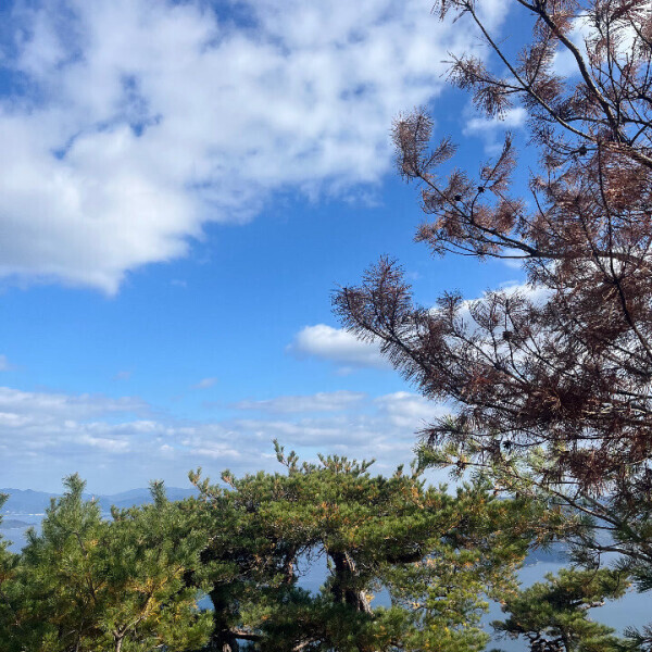 回復しました😮‍💨❤️‍🔥❤️‍🔥❤️‍🔥