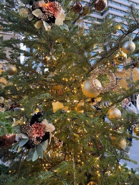 クリスマスが今年もやってくる！！