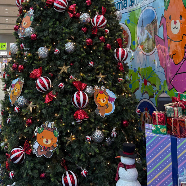 みきゃんサンタ🍊