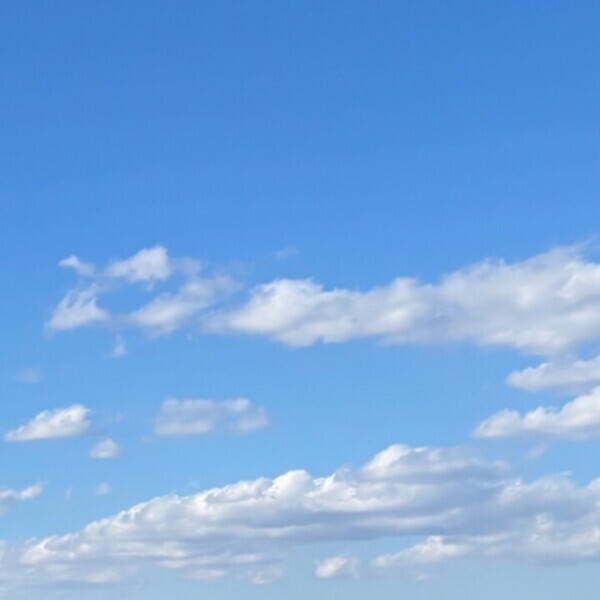 本日15時からに変更しました💦