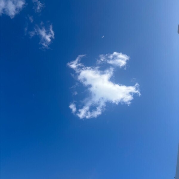 今日は7:00〜18:00まで💓