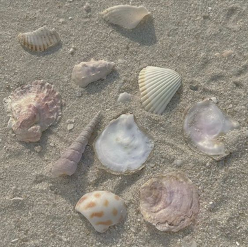 2月追加シフト🖤🐾