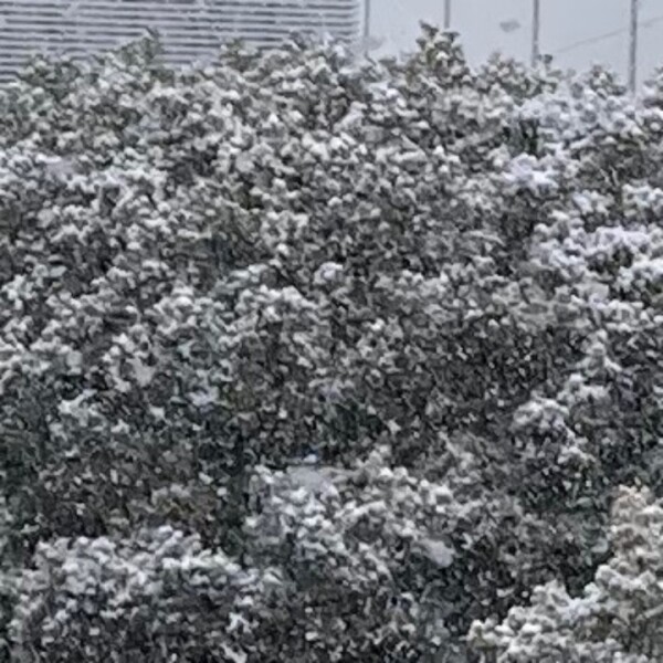 身体休めて、、