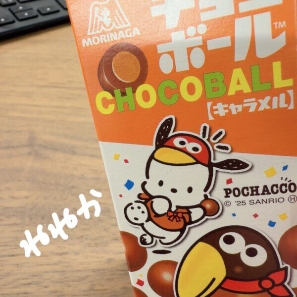 リラックス🍫🐶