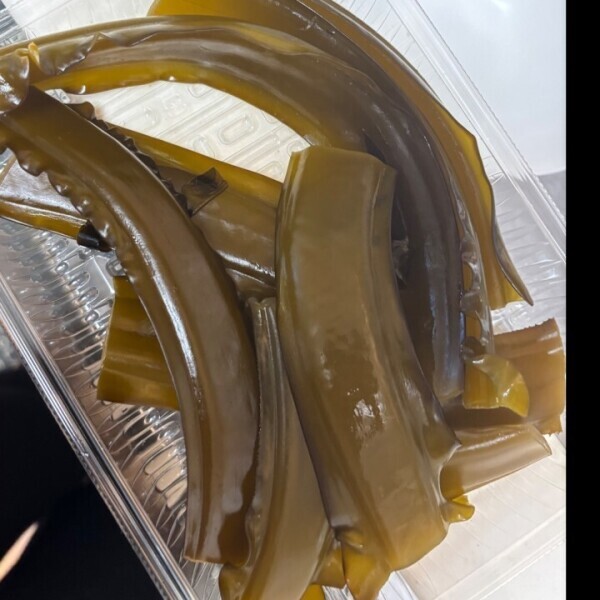 ハマってます🤭