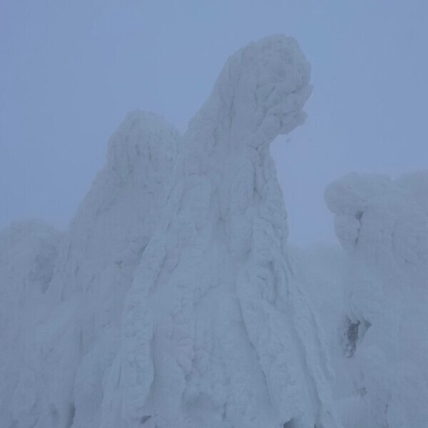 2／25早番出勤✨まほ