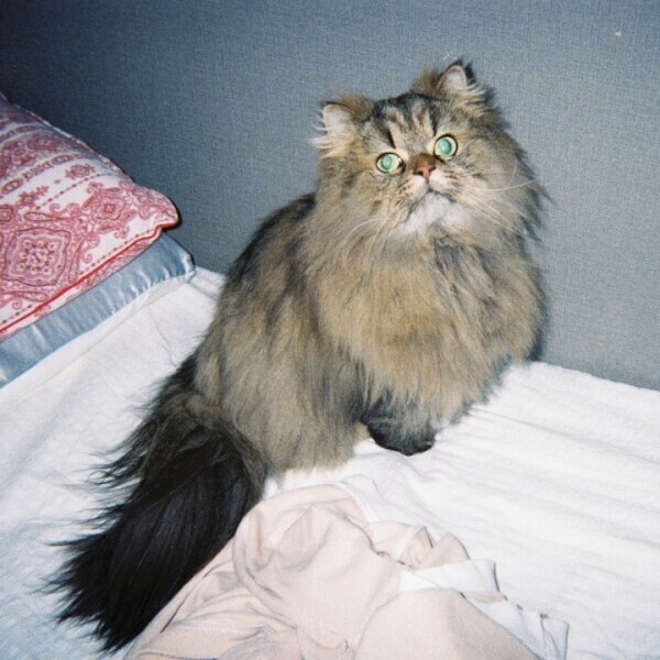 魅せられる、、、