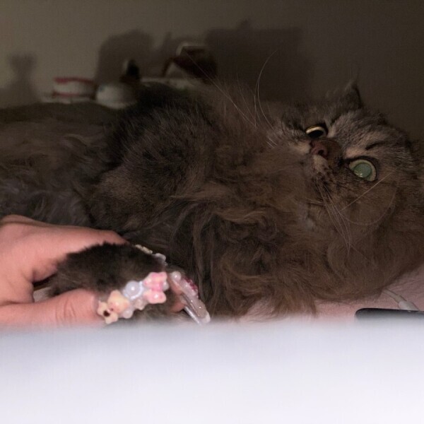 次回は明日です、、、😥