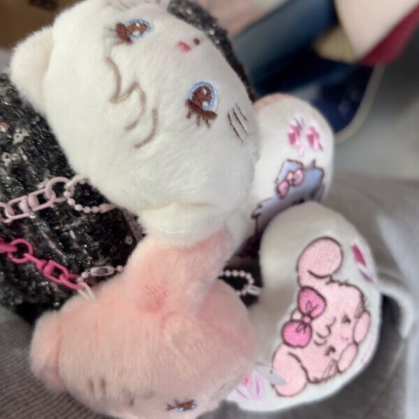 最近の推しキャラ🐱💗