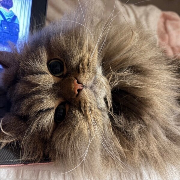 到着しました💓