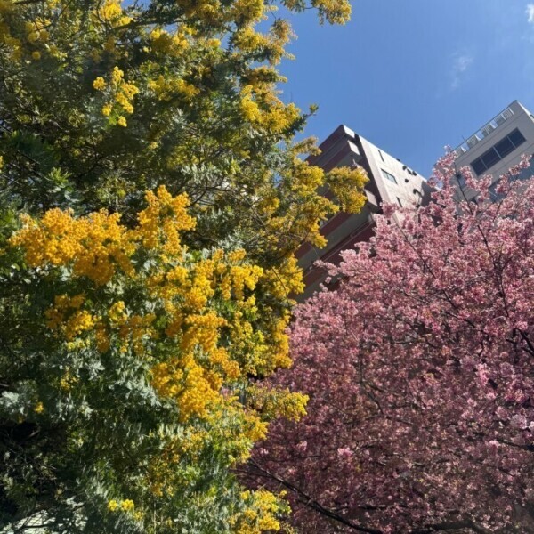 幸せのおすそ分け💐🌸