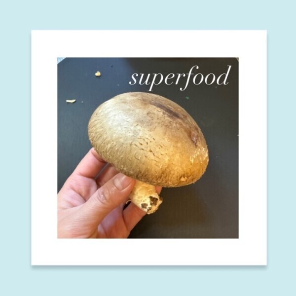 いちか総合診療所🏥♡