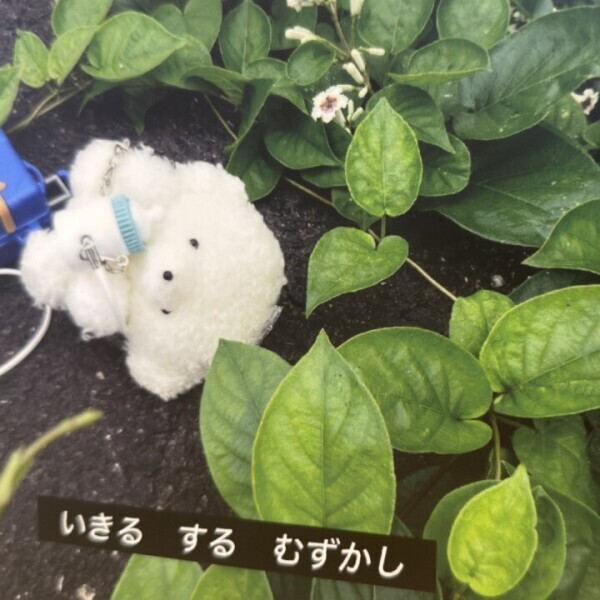 あしたいるよ！