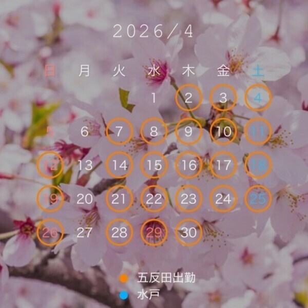 ✨4月の予定表✨