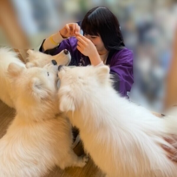 犬カフェ行ってきた！