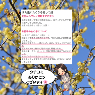 クチコミ投稿御礼🙇💕〜また逢いたくなる癒しの姫〜