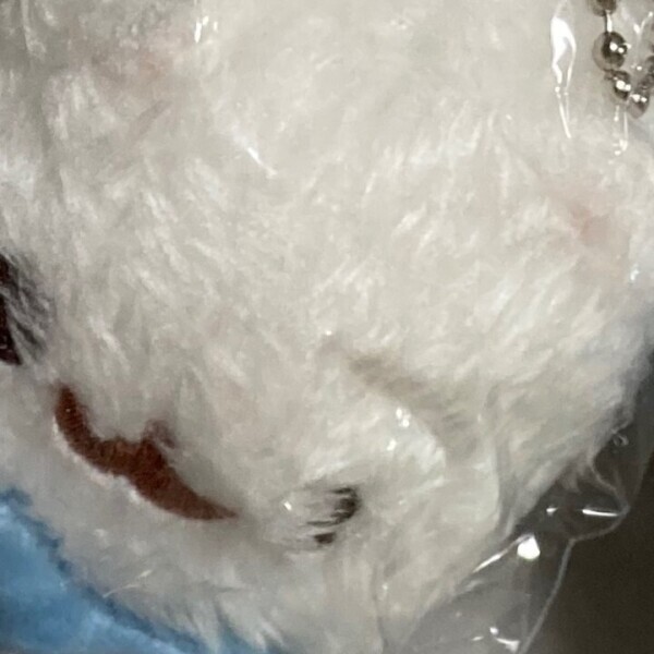 います！