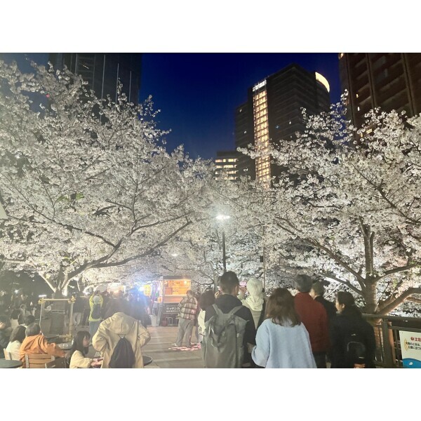 目黒川🌸