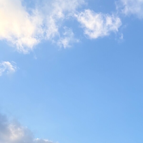 7:00〜12:00います💖