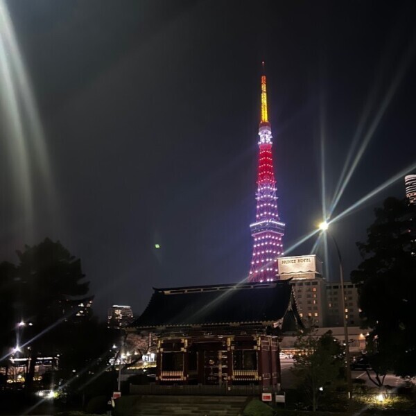 東京タワー綺麗でしょ🗼