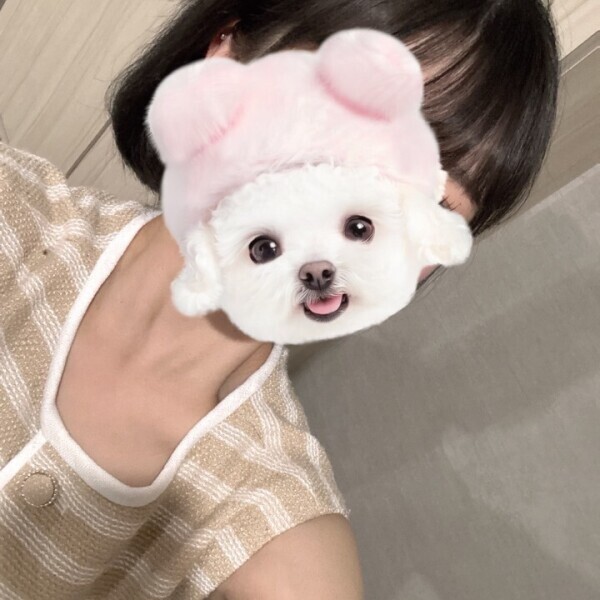 週末‼️