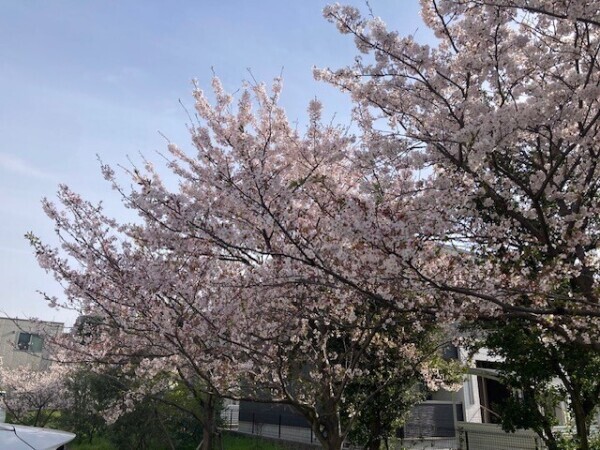 米子最終日☆