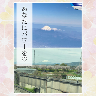 幸運のおすそ分け✨