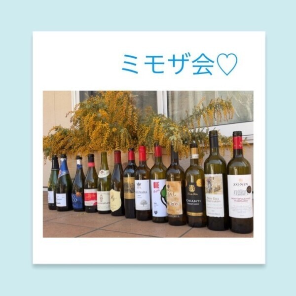 ミモザ花見♡