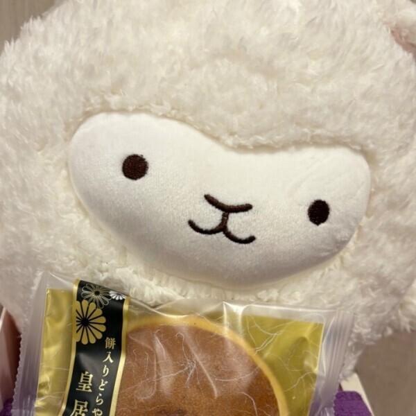 君の名は、、🦙