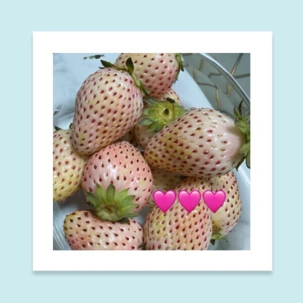 いちご♡