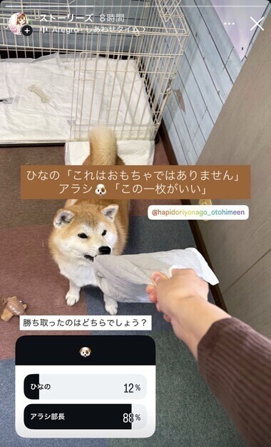 オフショットお届け🫧