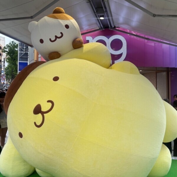 なほさん今日明日出勤です❣️